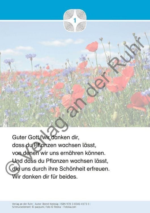 Produktbild: Staunen &uuml;ber die Sch&ouml;pfung &ndash; 40 Gebetskarten mit Naturfotografien