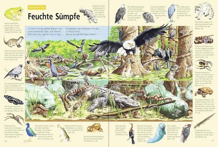 Produktbild: Das gro&szlig;e Tierbuch