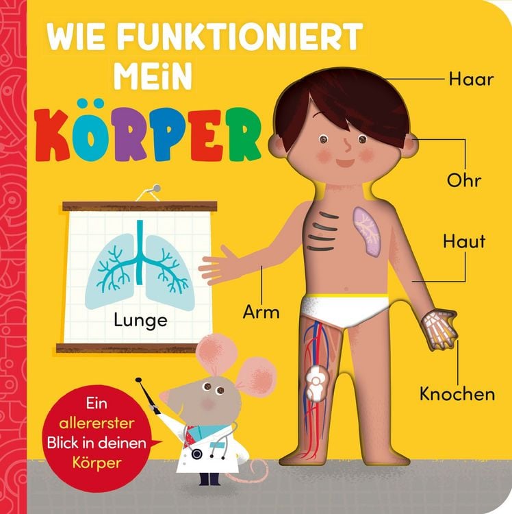 Produktbild: Wie funktioniert mein K&ouml;rper