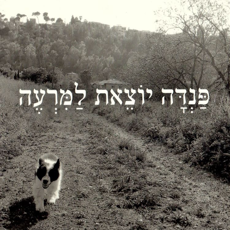Produktbild: פנדה יוצאת למרעה