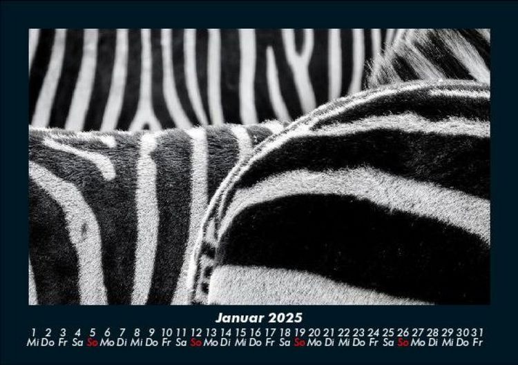 Produktbild: Tierkalender 2025 Fotokalender DIN A5