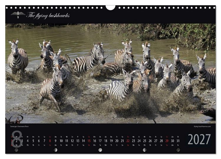 Produktbild: Tansania Blickwinkel 2027 (Wandkalender 2027 DIN A3 quer), CALVENDO Monatskalender