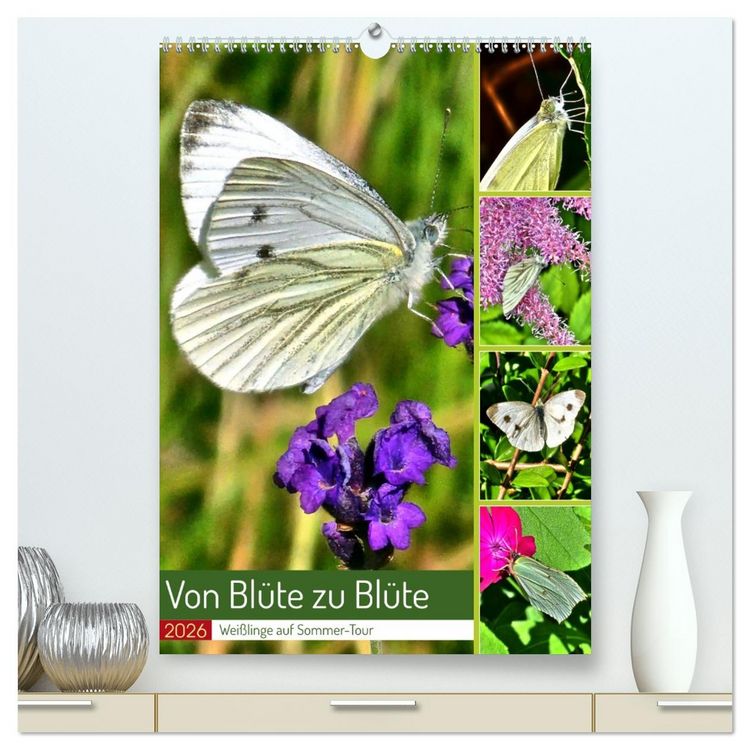 Produktbild: Von Bl&uuml;te zu Bl&uuml;te - Wei&szlig;linge auf Sommer-Tour (hochwertiger Premium Wandkalender 2026 DIN A2 hoch), Kunstdruck in Hochglanz