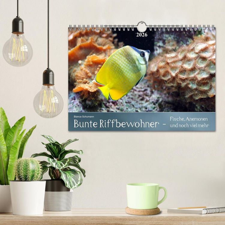 Produktbild: Bunte Riffbewohner - Fische, Anemonen und noch viel mehr (Wandkalender 2026 DIN A4 quer), CALVENDO Monatskalender