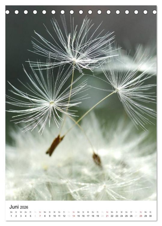 Produktbild: Natur-Romantik (Tischkalender 2026 DIN A5 hoch), CALVENDO Monatskalender