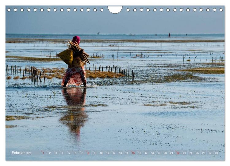 Produktbild: Sansibar - Impressionen von Rolf Dietz (Wandkalender 2026 DIN A4 quer), CALVENDO Monatskalender