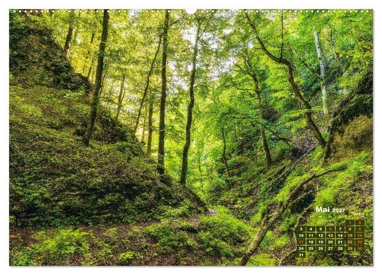 Produktbild: Waldspazierg&auml;nge: Entspannen - Kraft tanken - Besinnen auf sich selbst (Wandkalender 2027 DIN A2 quer), CALVENDO Monatskalender