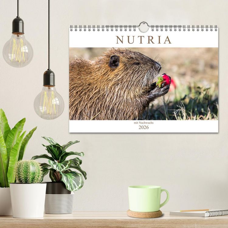 Produktbild: NUTRIA mit Nachwuchs (Wandkalender 2026 DIN A4 quer), CALVENDO Monatskalender