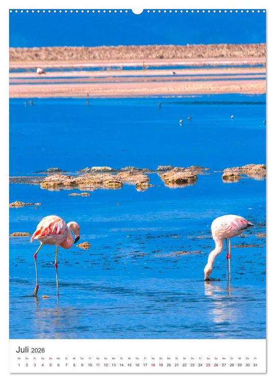 Produktbild: Chile - Ein unentdecktes Paradies. (hochwertiger Premium Wandkalender 2026 DIN A2 hoch), Kunstdruck in Hochglanz