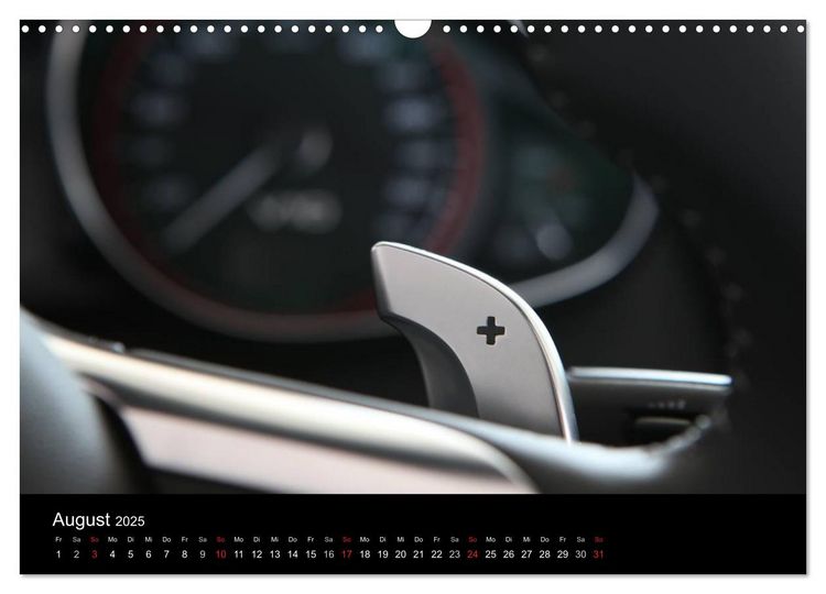 Produktbild: Vollblut-Sportler (Wandkalender 2025 DIN A3 quer), CALVENDO Monatskalender