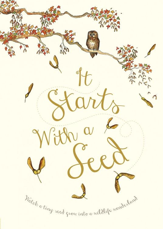 Produktbild: It Starts With A Seed