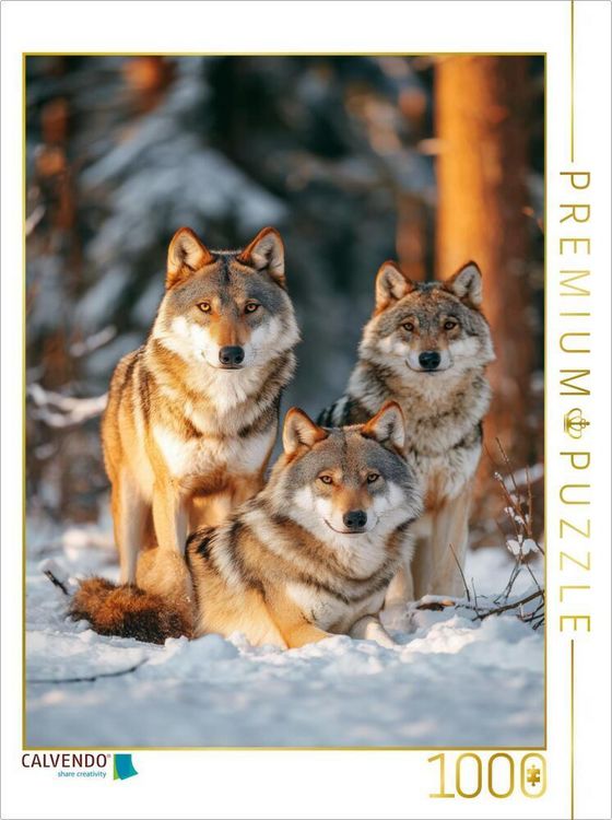 Produktbild: CALVENDO Puzzle In der K&auml;lte der Wildnis w&auml;rmt die N&auml;he des Rudels | 1000 Teile Lege-Gr&ouml;&szlig;e 64x48cm Foto-Puzzle f&uuml;r gl&uuml;ckliche Stunden