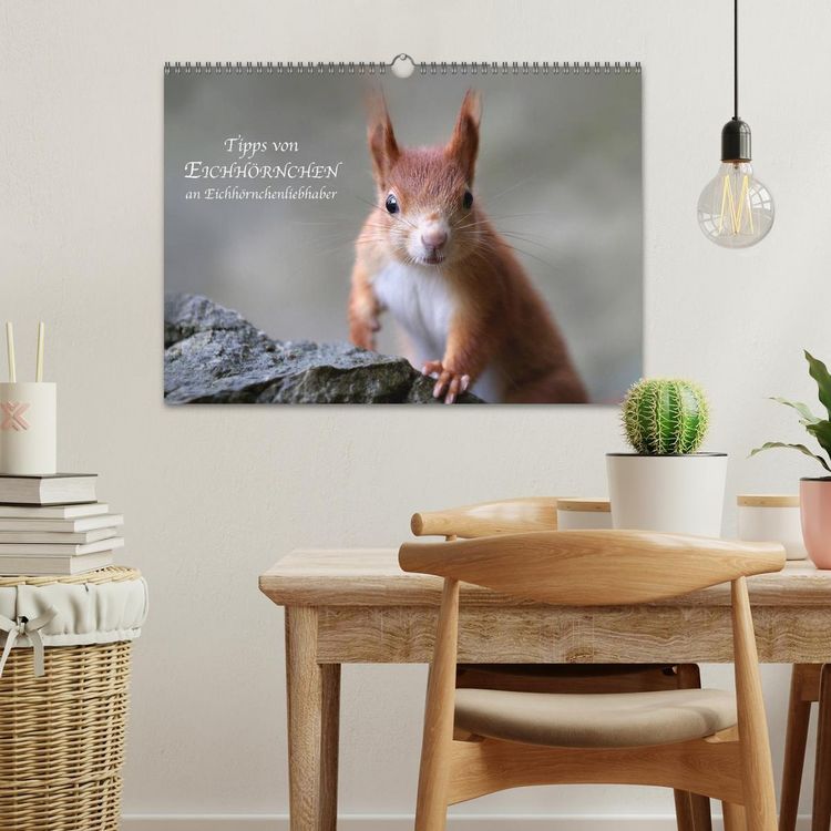 Produktbild: Tipps von Eichh&ouml;rnchen an Eichh&ouml;rnchenliebhaber (Wandkalender 2026 DIN A3 quer), CALVENDO Monatskalender