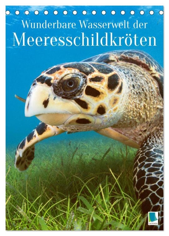 Produktbild: Wunderbare Wasserwelt der Meeresschildkr&ouml;ten (Tischkalender 2026 DIN A5 hoch), CALVENDO Monatskalender