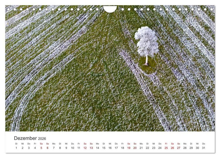 Produktbild: B&auml;ume - Gelebtes Leben (Wandkalender 2026 DIN A4 quer), CALVENDO Monatskalender