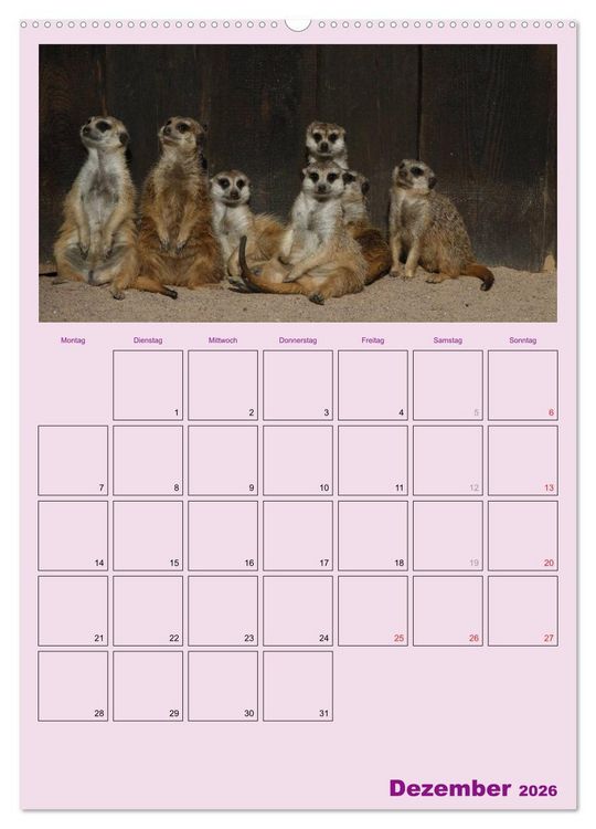 Produktbild: Erdm&auml;nnchen / Terminplaner (Wandkalender 2026 DIN A2 hoch), CALVENDO Monatskalender