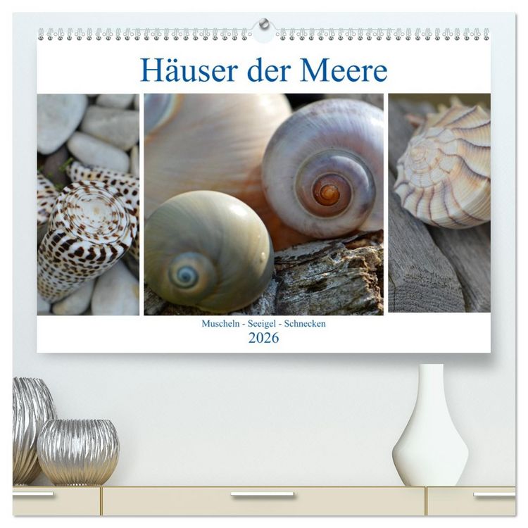 Produktbild: H&auml;user der Meere: Muscheln - Seeigel - Schnecken (hochwertiger Premium Wandkalender 2026 DIN A2 quer), Kunstdruck in Hochglanz