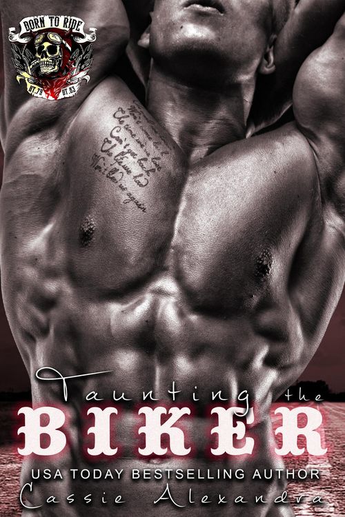 Produktbild: Taunting the Biker