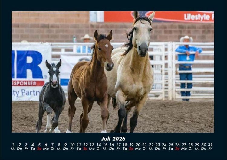 Produktbild: Pferdetraum 2026 Fotokalender DIN A4