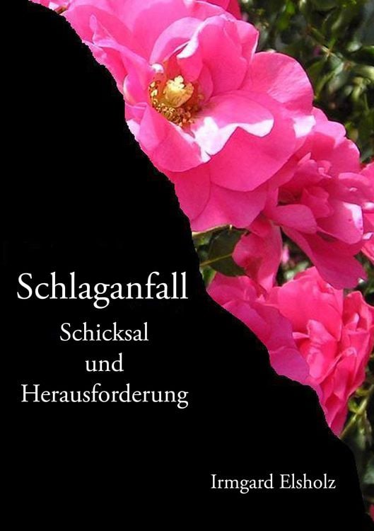 Produktbild: Schlaganfall