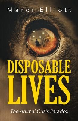 Produktbild: Disposable Lives