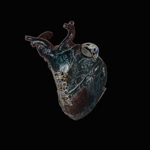 Produktbild: Guardians Of The Heart Machine