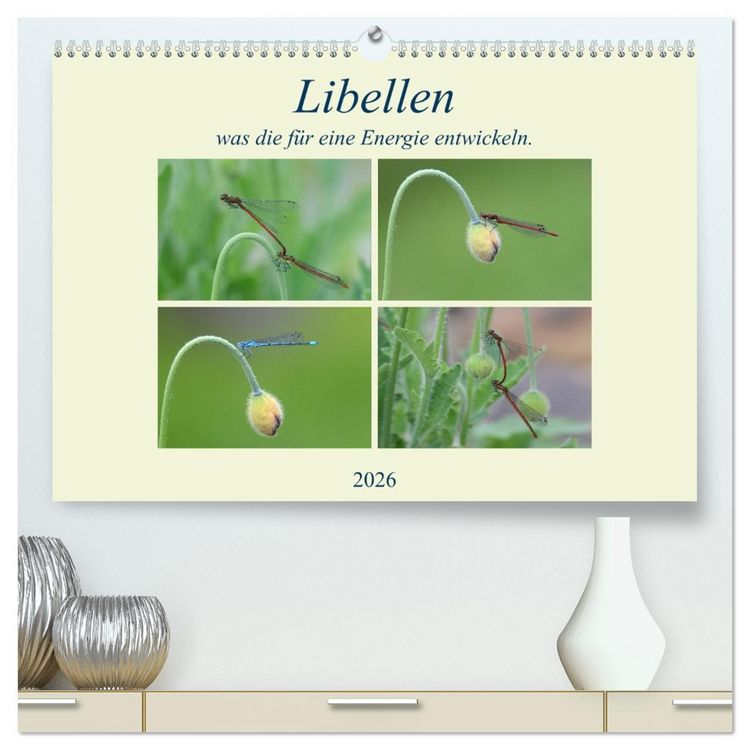 Produktbild: Libellen, was die f&uuml;r eine Energie entwickeln. (hochwertiger Premium Wandkalender 2026 DIN A2 quer), Kunstdruck in Hochglanz