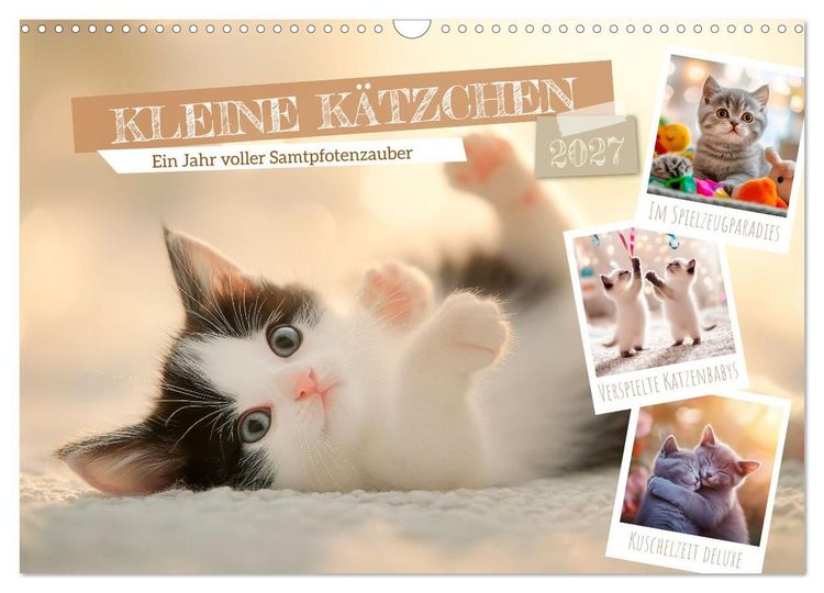 Produktbild: Kleine K&auml;tzchen - Ein Jahr voller Samtpfotenzauber (Wandkalender 2027 DIN A3 quer), CALVENDO Monatskalender