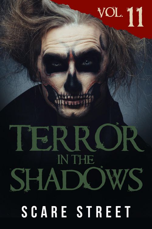 Produktbild: Terror in the Shadows Vol. 11