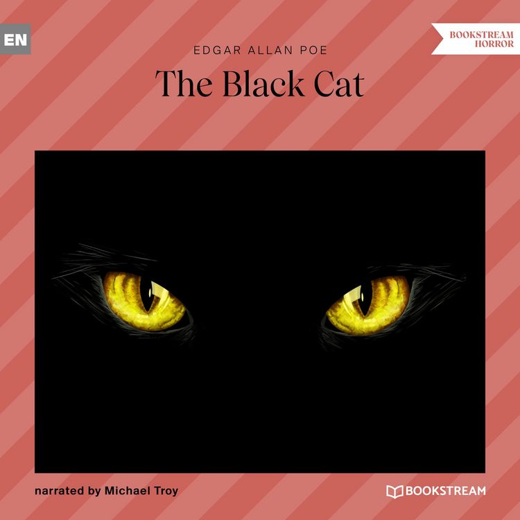Produktbild: The Black Cat