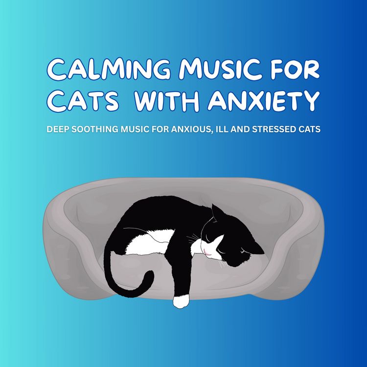 Produktbild: Calming Music for Cats with Anxiety - Pet Music Therapy