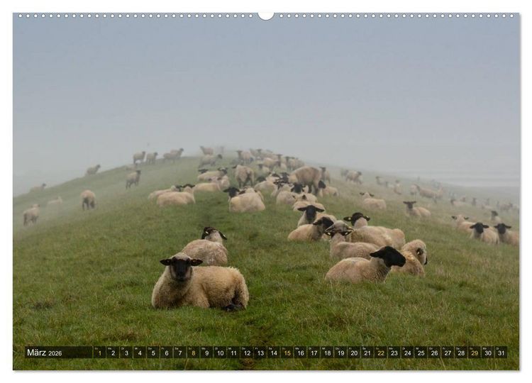 Produktbild: Impressionen aus dem Wesermarsch - Butjadingen 2026 (hochwertiger Premium Wandkalender 2026 DIN A2 quer), Kunstdruck in Hochglanz