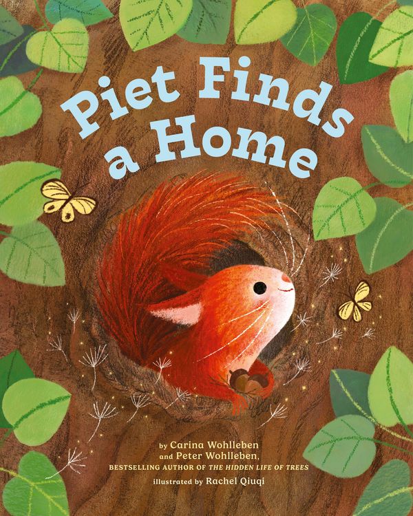 Produktbild: Piet Finds A Home