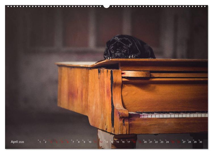 Produktbild: Diesels Welt (Wandkalender 2026 DIN A2 quer), CALVENDO Monatskalender
