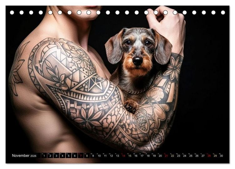 Produktbild: Coole Typen - Rauhaardackel (Tischkalender 2026 DIN A5 quer), CALVENDO Monatskalender