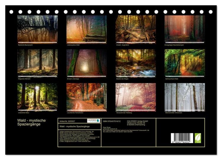 Produktbild: Wald - mystische Spazierg&auml;nge (Tischkalender 2026 DIN A5 quer), CALVENDO Monatskalender