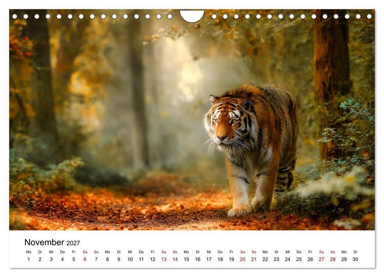 Produktbild: Wild.Edel.Stark. - Im Bann der Tiger (Wandkalender 2027 DIN A4 quer), CALVENDO Monatskalender