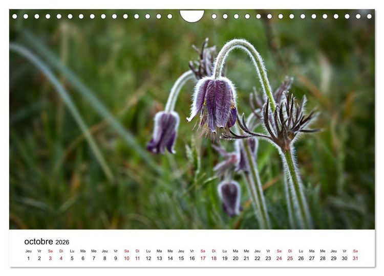 Produktbild: Dunes et mer - Une exp&eacute;rience nature (Calendrier mural 2026 DIN A4 vertical), CALVENDO calendrier mensuel