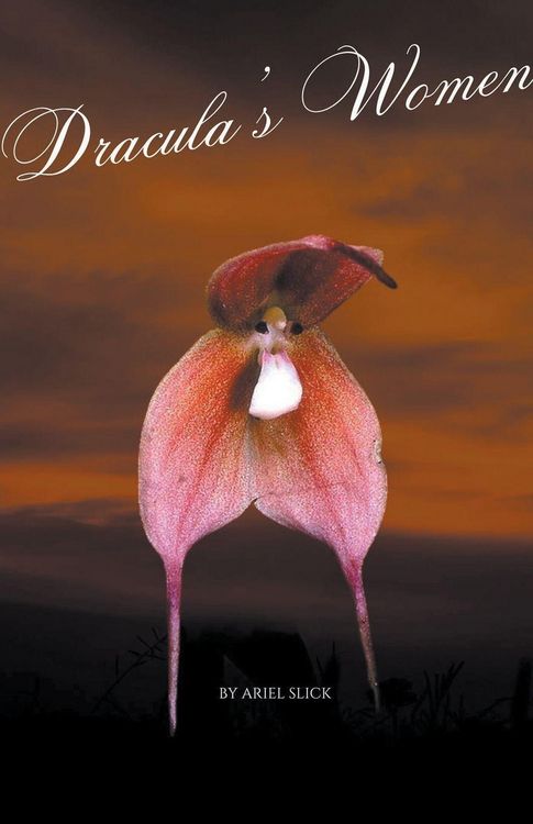 Produktbild: Dracula's Women
