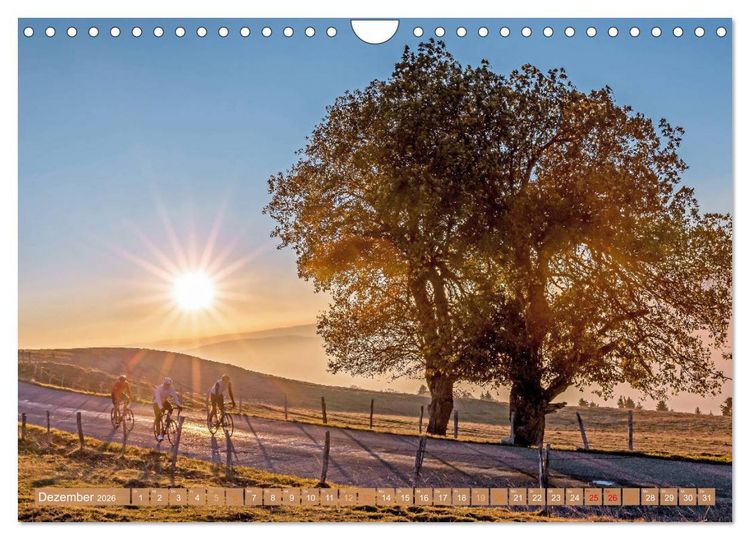 Produktbild: Sonne in den Speichen - Faszination Rennrad (Wandkalender 2026 DIN A4 quer), CALVENDO Monatskalender