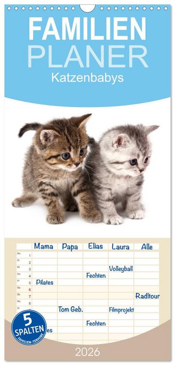 Produktbild: Familienplaner 2026 - Katzenbabys mit 5 Spalten (Wandkalender, 21 x 45 cm) CALVENDO