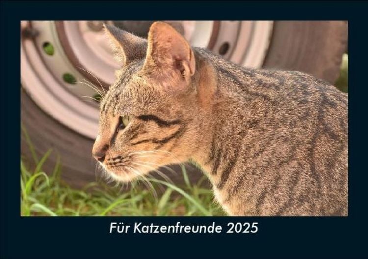 Produktbild: F&uuml;r Katzenfreunde 2025 Fotokalender DIN A5