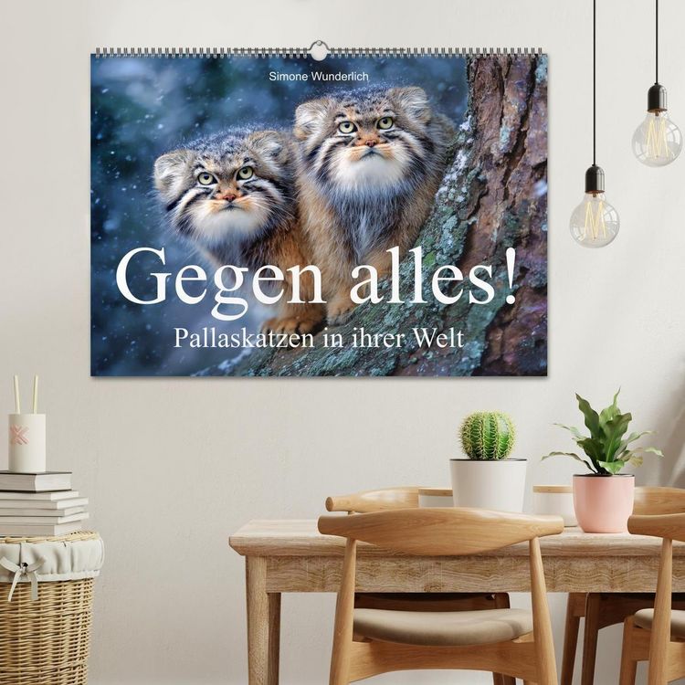 Produktbild: Gegen alles! - Pallaskatzen in ihrer Welt (Wandkalender 2027 DIN A2 quer), CALVENDO Monatskalender