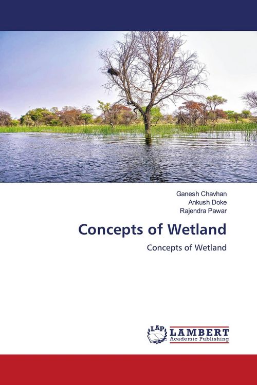 Produktbild: Concepts of Wetland