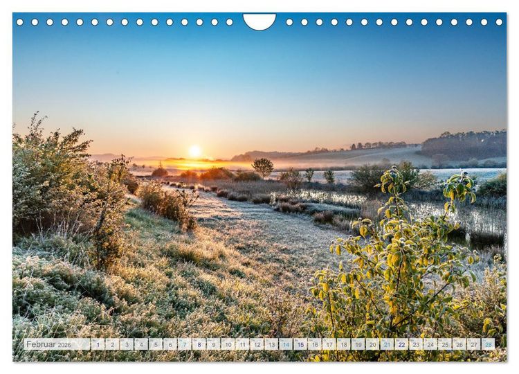 Produktbild: Bunter Pf&auml;lzerwald (Wandkalender 2026 DIN A4 quer), CALVENDO Monatskalender