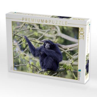 Produktbild: CALVENDO Puzzle Siamang | 1000 Teile Lege-Gr&ouml;&szlig;e 64x48cm Foto-Puzzle f&uuml;r gl&uuml;ckliche Stunden