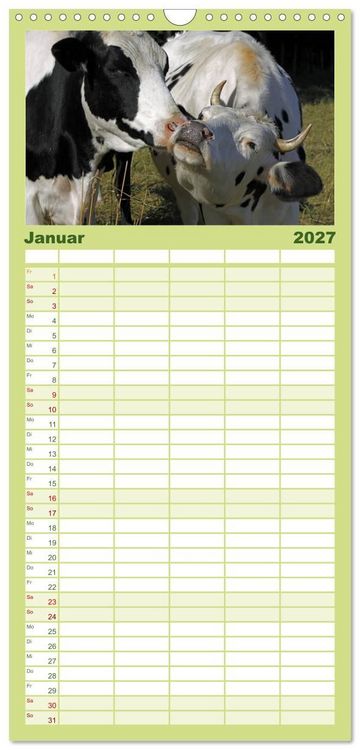 Produktbild: Familienplaner 2027 - Muuuhhh! mit 5 Spalten (Wandkalender, 21 x 45 cm) CALVENDO