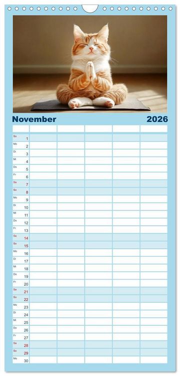 Produktbild: Familienplaner 2026 - Lustige Sportarten f&uuml;r Katzen mit 5 Spalten (Wandkalender, 21 x 45 cm) CALVENDO