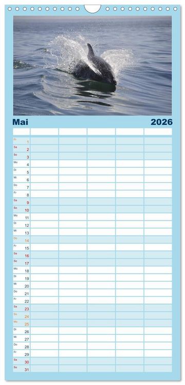 Produktbild: Familienplaner 2026 - Delfine - L&auml;chelnde Intelligenz mit 5 Spalten (Wandkalender, 21 x 45 cm) CALVENDO