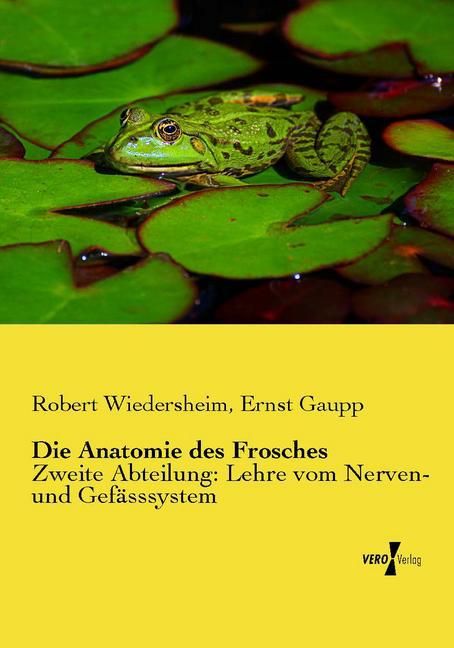 Produktbild: Die Anatomie des Frosches